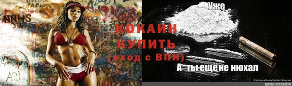 винт Армянск