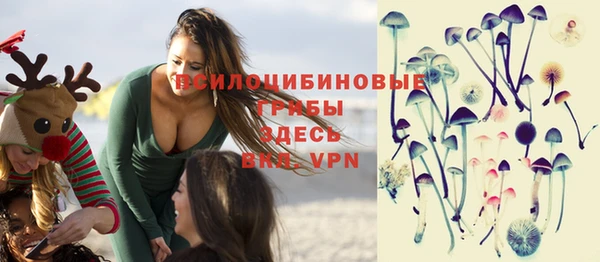 спиды Аркадак