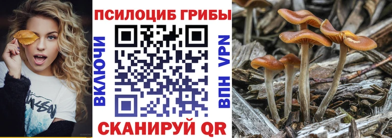 даркнет телеграм  Грязи  гидра зеркало  Псилоцибиновые грибы мицелий  цена  