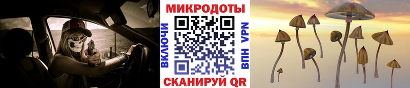 Псилоцибиновые грибы ЛСД Грязи